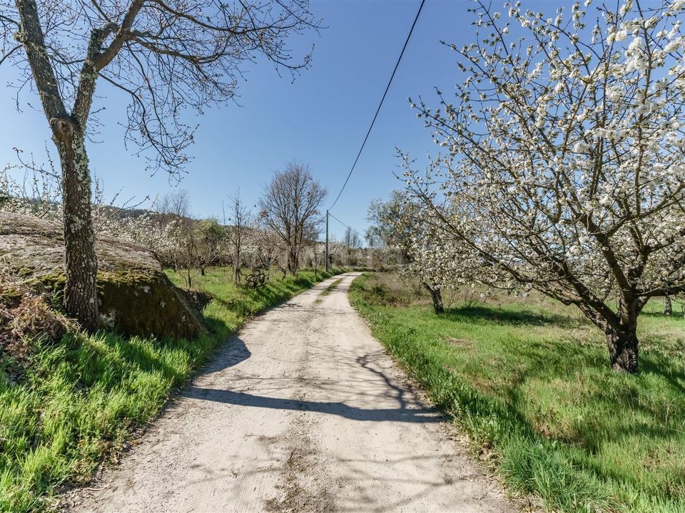 Farm i Covilha, Castelo Branco - foto 5