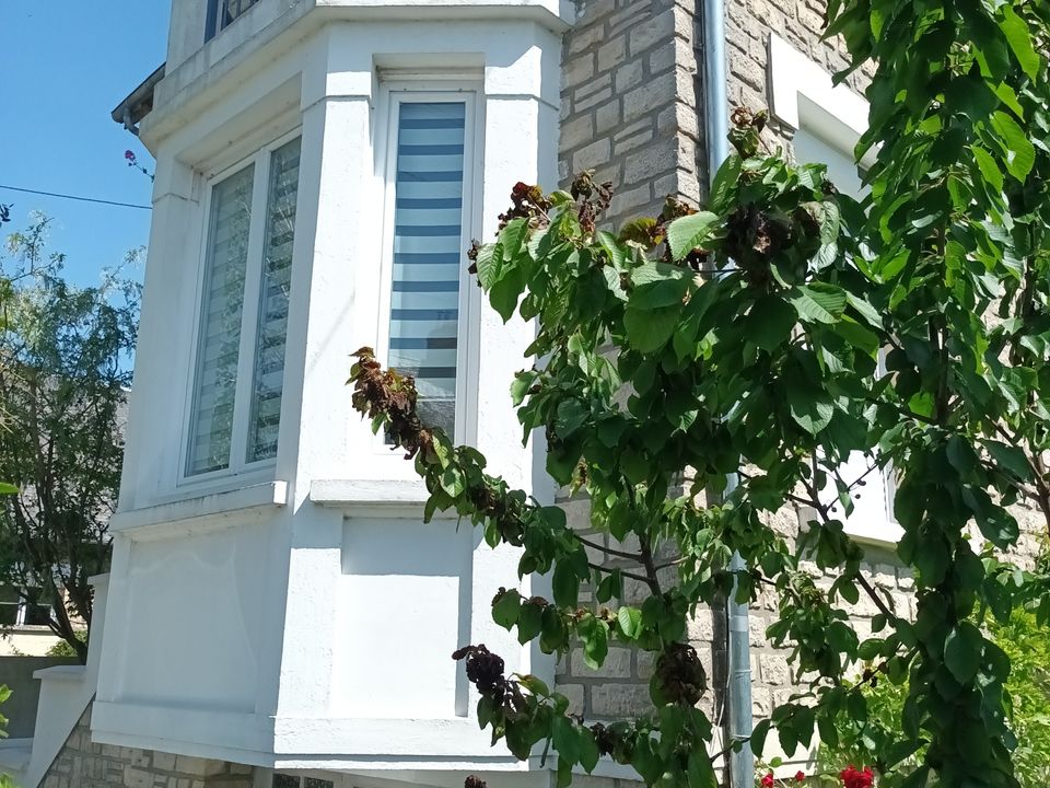 Byhus i Isigny-sur-Mer, Calvados - foto 3