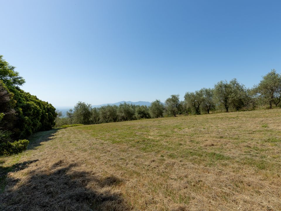 Herregård i Lucca, Lucca - bilde 1