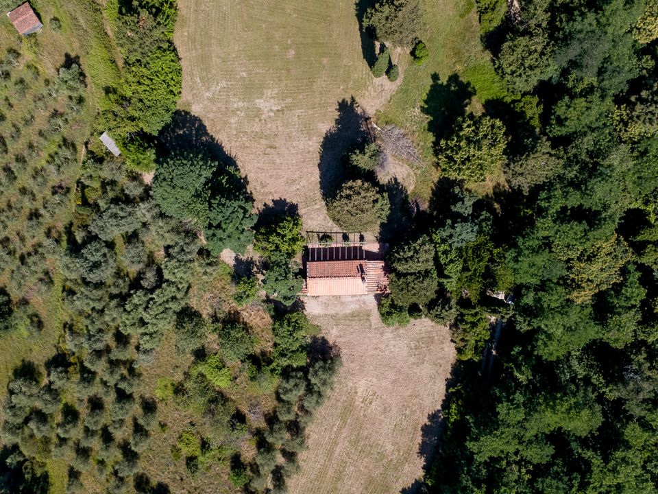 Herregård i Lucca, Lucca - bilde 4