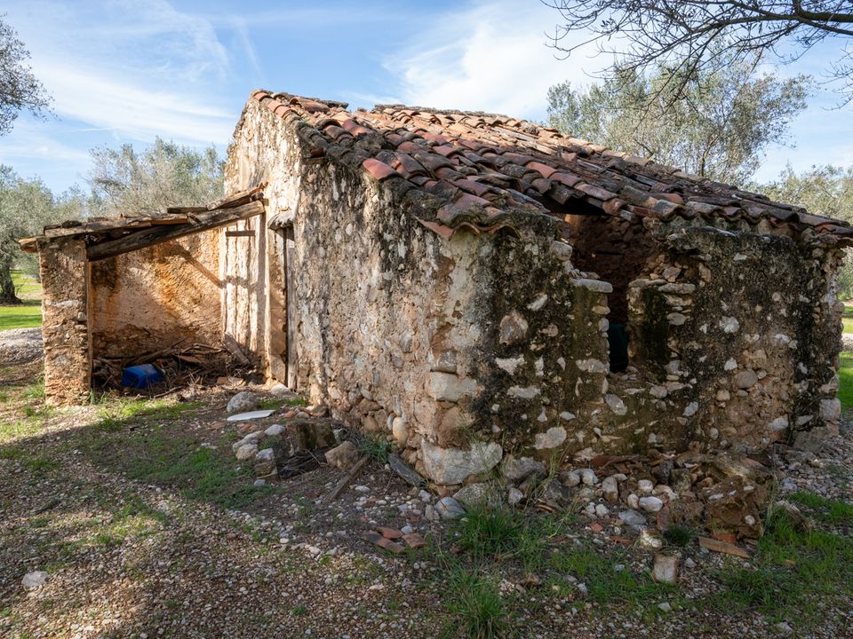 Finca en Mas De Barberans, Tarragona - foto 4