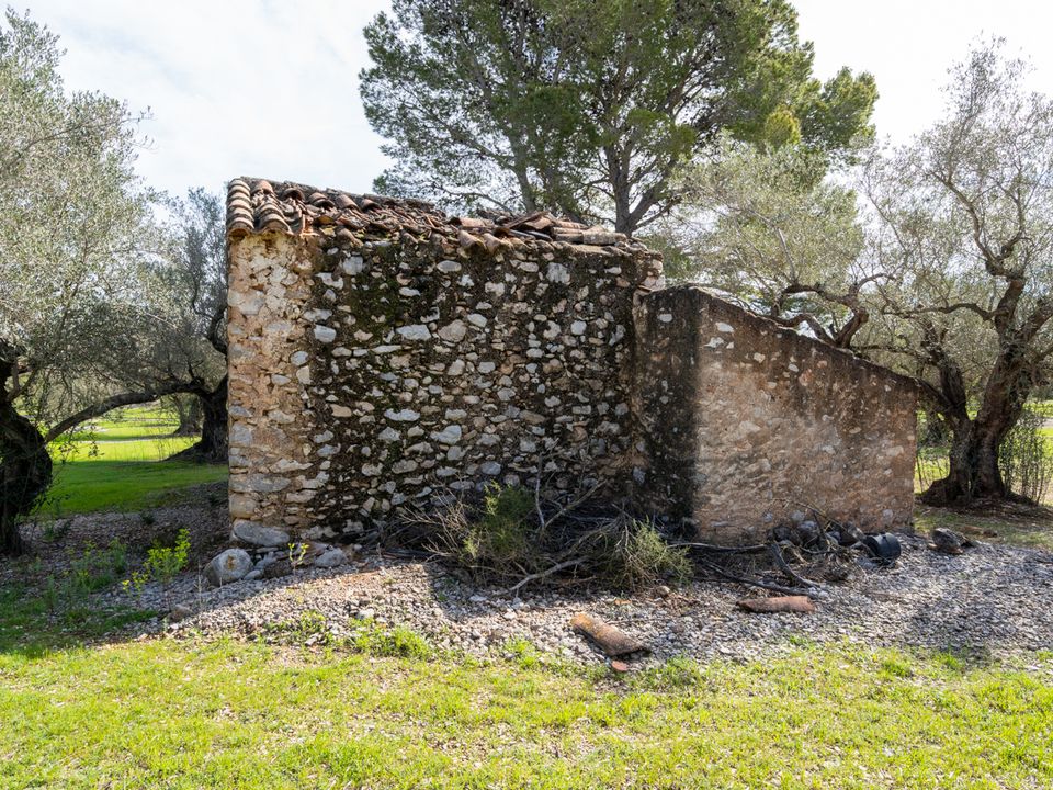 Finca en Mas De Barberans, Tarragona - foto 5