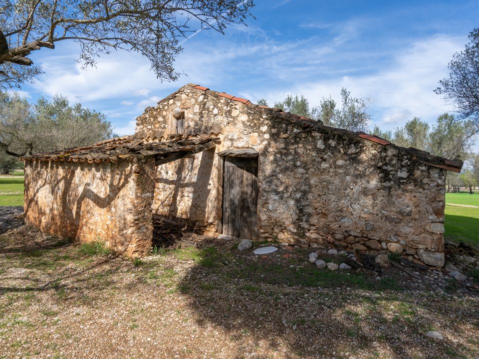 Finca en Mas De Barberans, Tarragona - foto 3