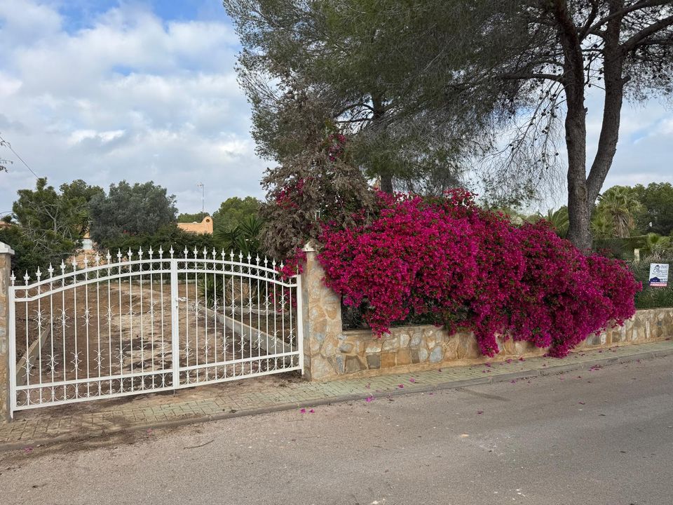Helårsgrund i Pinar De Campoverde, Alicante - foto 1
