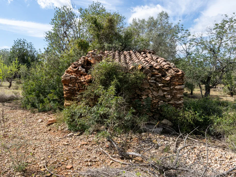 Finca i Godall, Tarragona - foto 2
