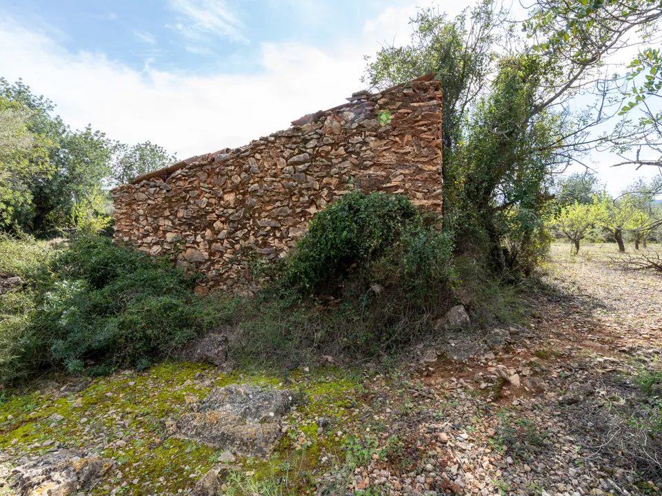 Finca i Godall, Tarragona - foto 3
