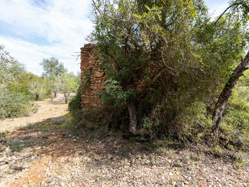 Finca i Godall, Tarragona - foto 4