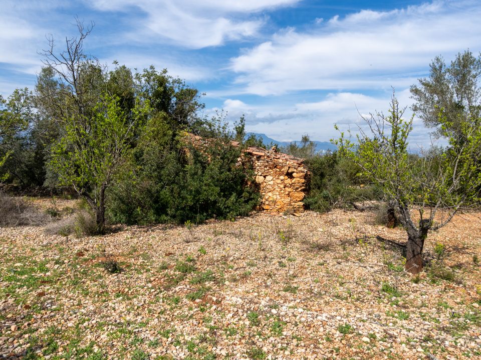 Finca i Godall, Tarragona - foto 5