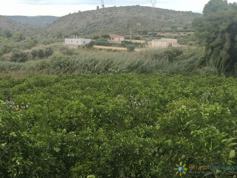 Terreno en Sellent, Valencia - foto 2