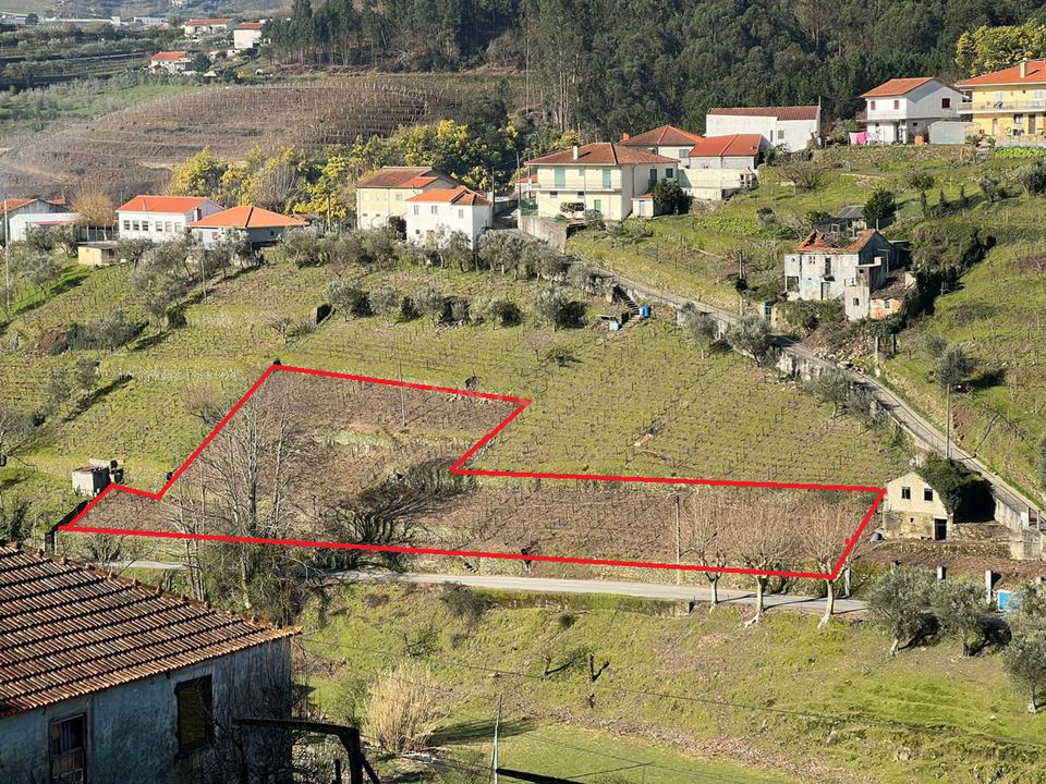 Tomt i Peso da Regua, Vila Real - bilde 1
