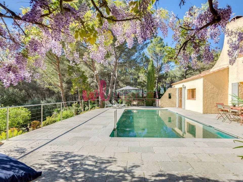 Villa i Bouc-Bel-Air, Bouches-du-Rhone - foto 1