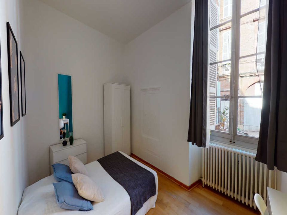 Apartment in Toulouse, Haute-Garonne - photo 2