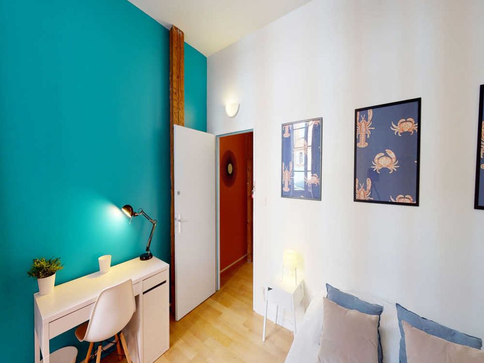 Apartment in Toulouse, Haute-Garonne - photo 4