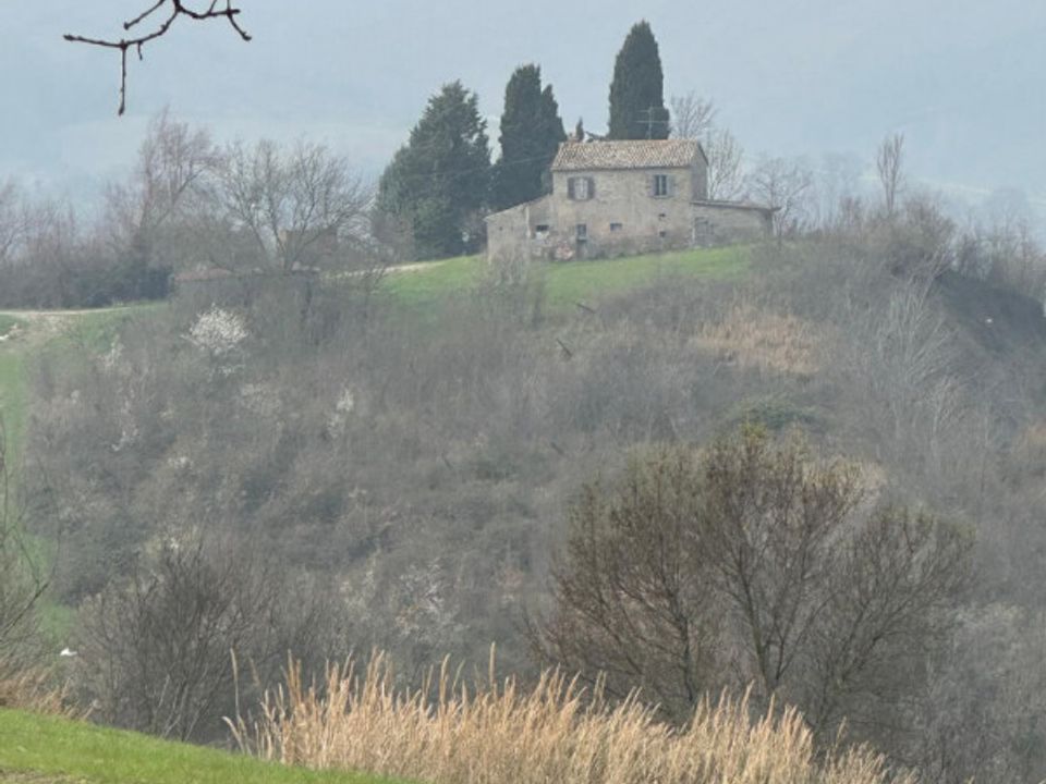 Herregård i Sogliano al Rubicone, Forli-Cesena - bilde 5