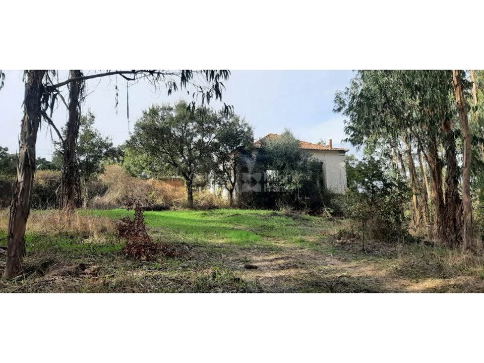 Landejendom i Ermidas do Sado, Setubal - foto 4