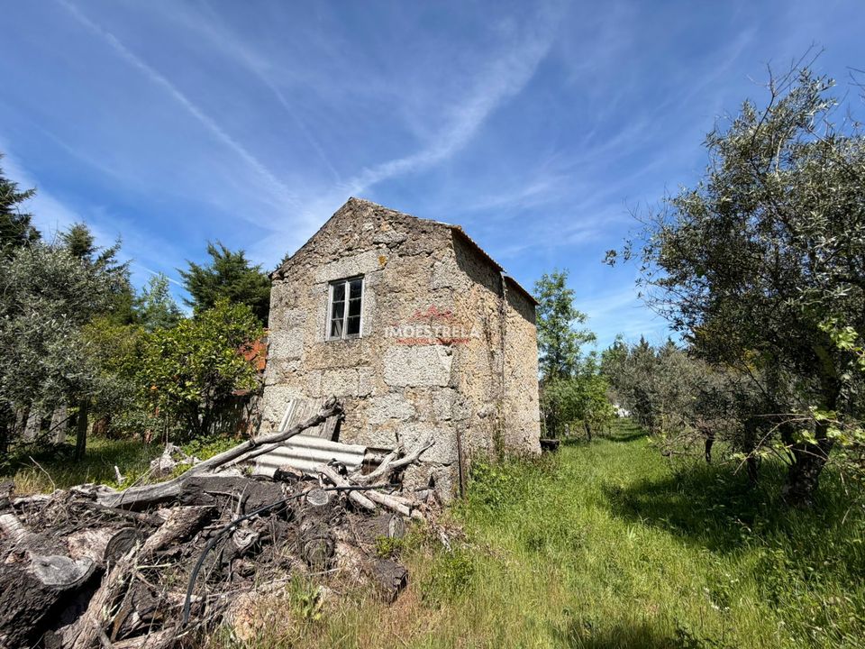 Farm i Gouveia, Guarda - foto 4