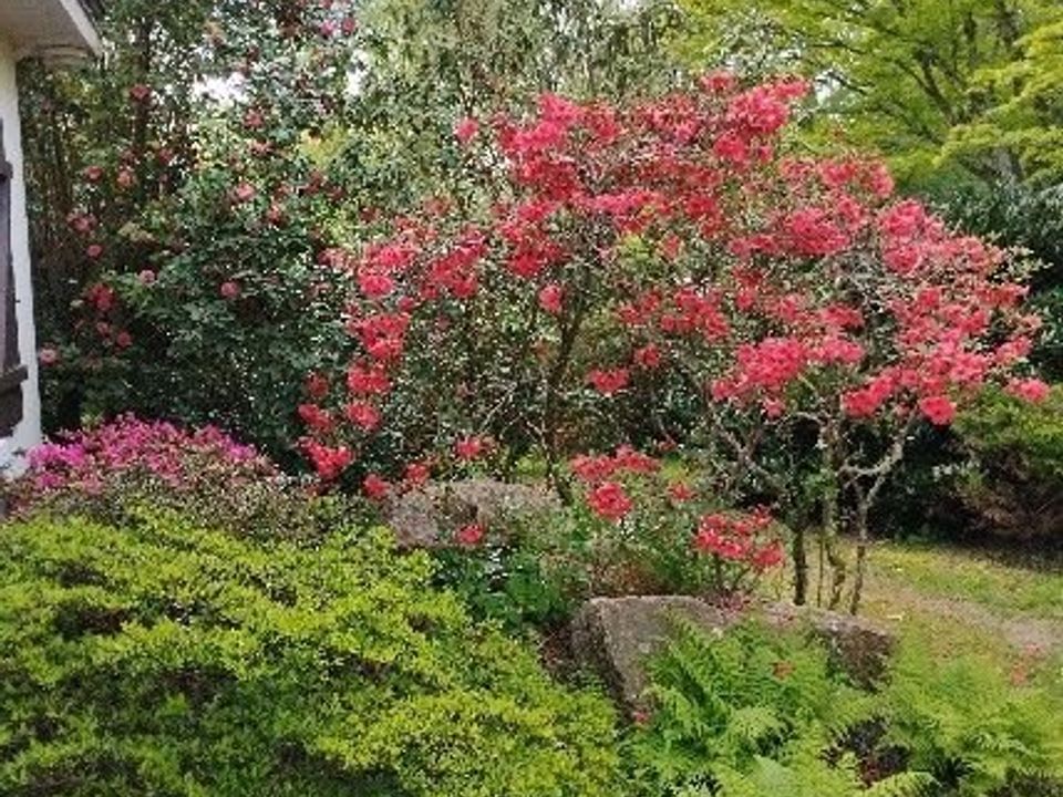 Villa i Moëlan-sur-Mer, Finistere - bilde 3