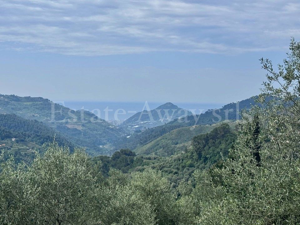 Tomt i Perinaldo, Imperia - foto 2