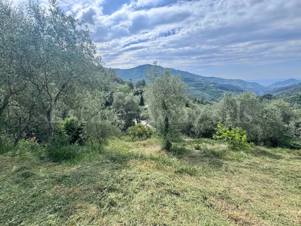 Tomt i Perinaldo, Imperia - foto 3