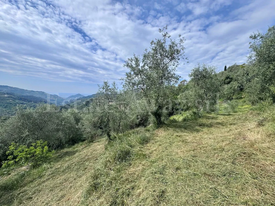 Tomt i Perinaldo, Imperia - foto 4
