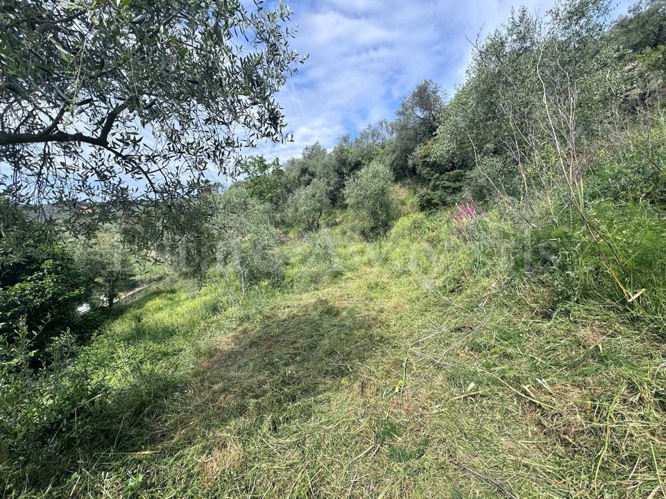 Tomt i Perinaldo, Imperia - foto 5