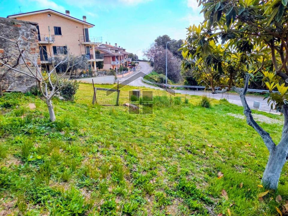 Tomt i Campofilone, Fermo - bilde 4