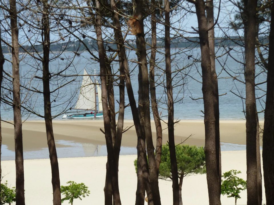 Villa i Arcachon, Gironde - foto 3