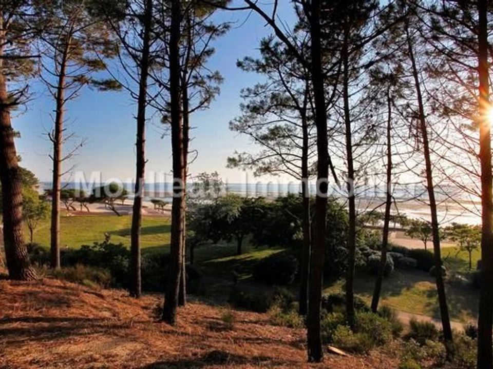 Villa i Arcachon, Gironde - foto 4