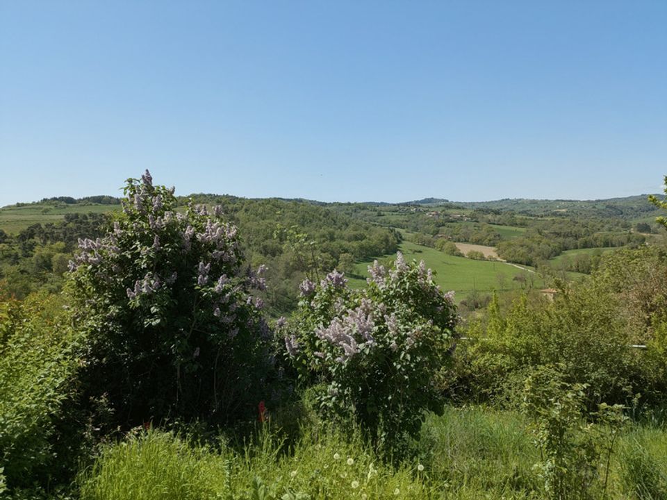 Villa i Saint-Germain-Laval, Loire - foto 3