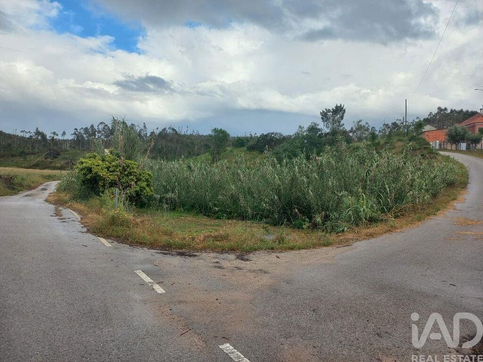 Helårsgrund i Ourem, Santarem - foto 3