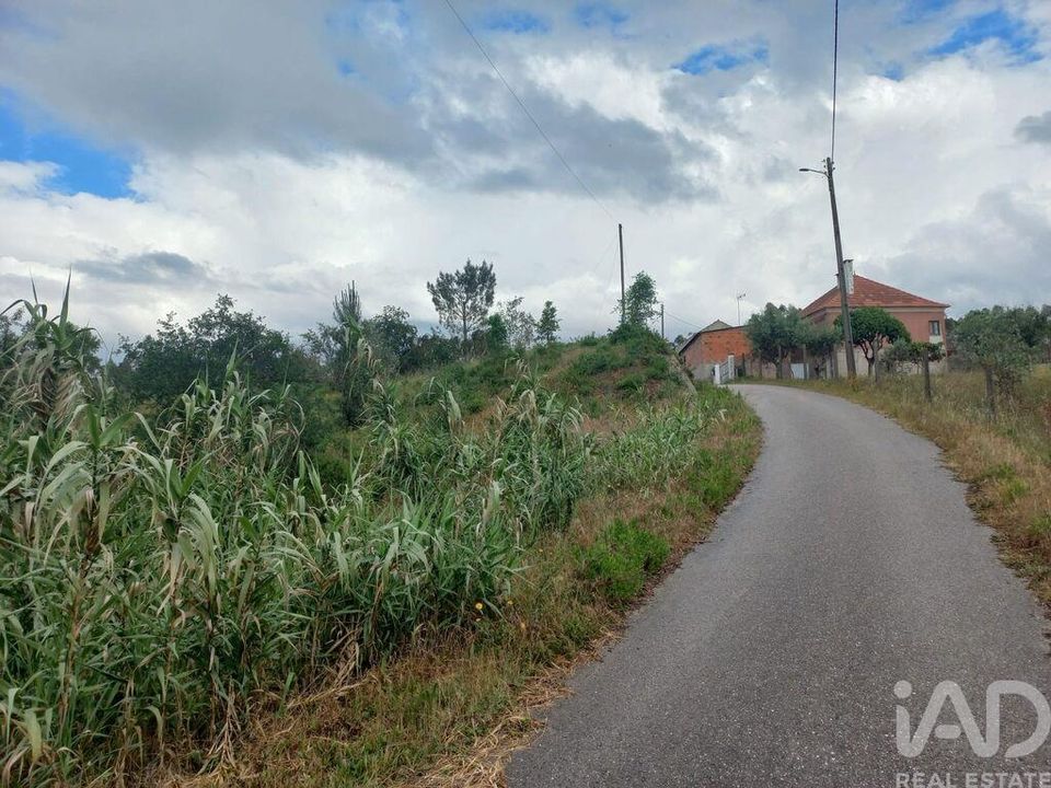 Helårsgrund i Ourem, Santarem - foto 5