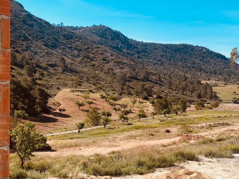 Landejendom i Hondon De Las Nieves, Alicante - foto 3