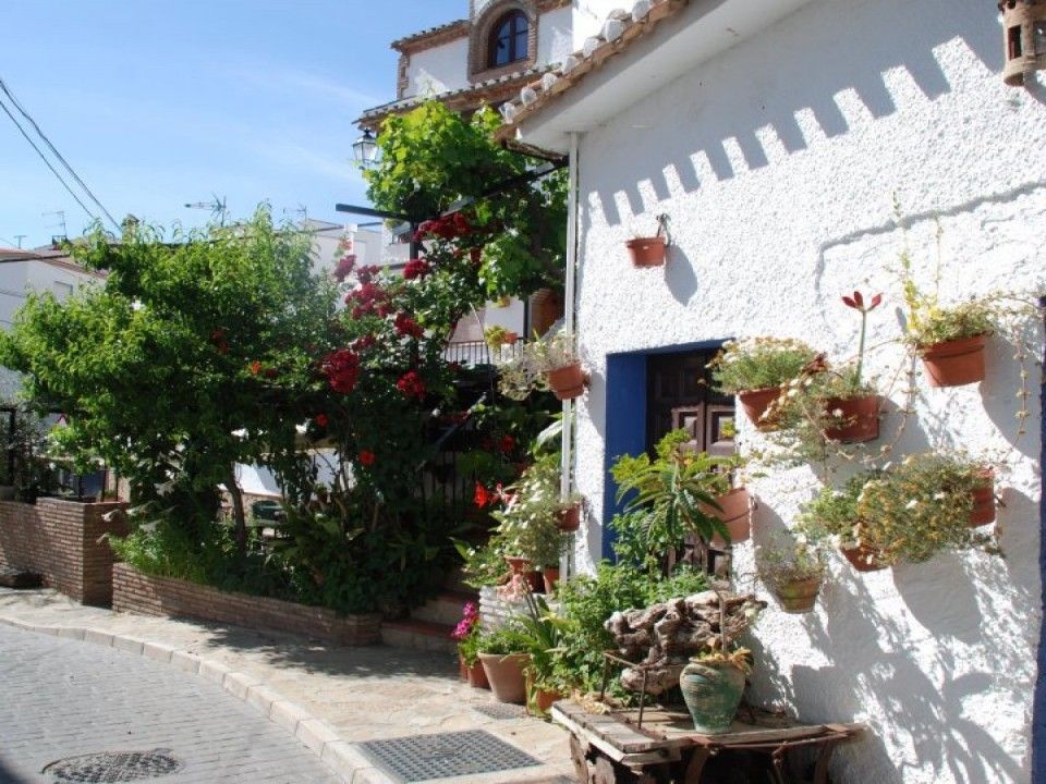 Erhvervsejendom i Alcaucin, Malaga - foto 2