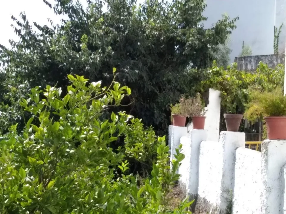 Grond in Casarabonela, Malaga - foto 5