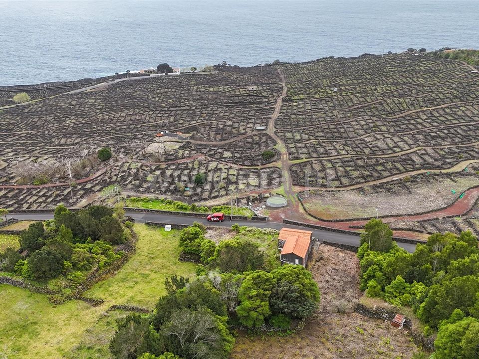 Byhus i Madalena, Pico - foto 4