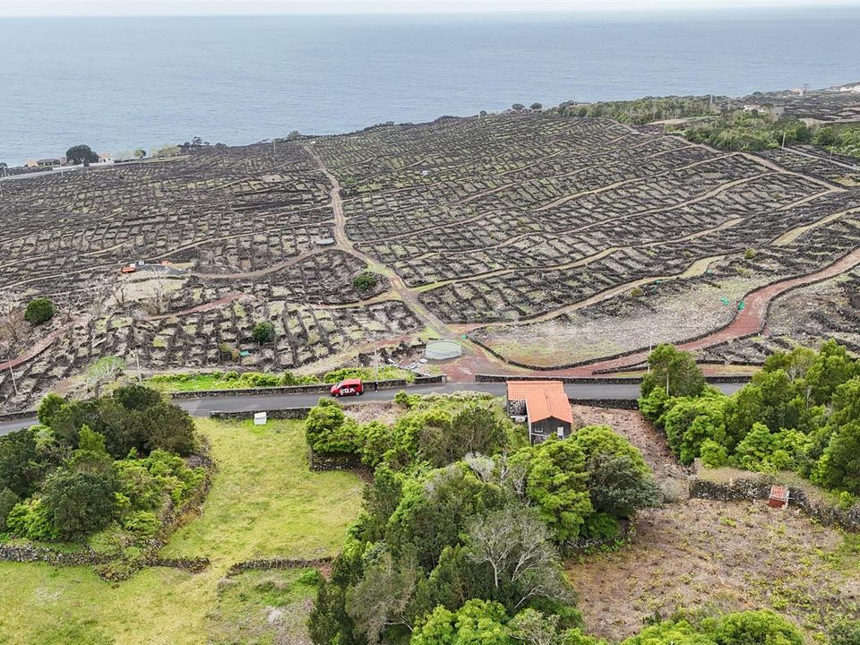 Byhus i Madalena, Pico - foto 5