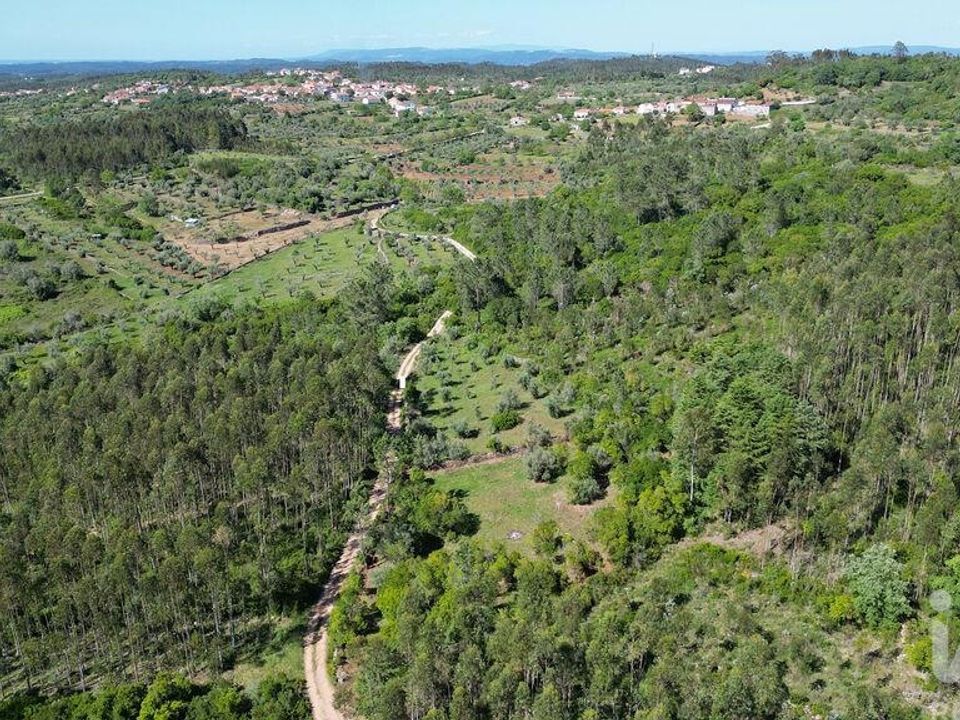 Tomt i Ansiao, Leiria - bilde 2