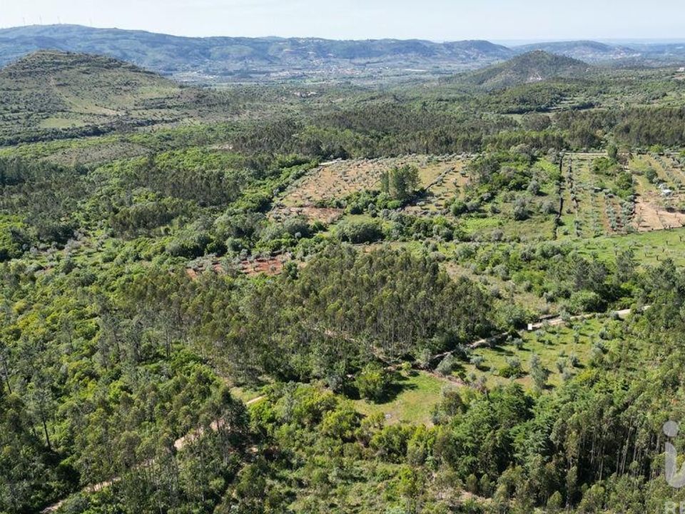 Tomt i Ansiao, Leiria - bilde 4