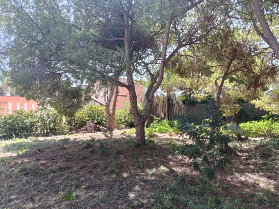 Erhvervsejendom i Cabo Roig, Alicante - foto 5