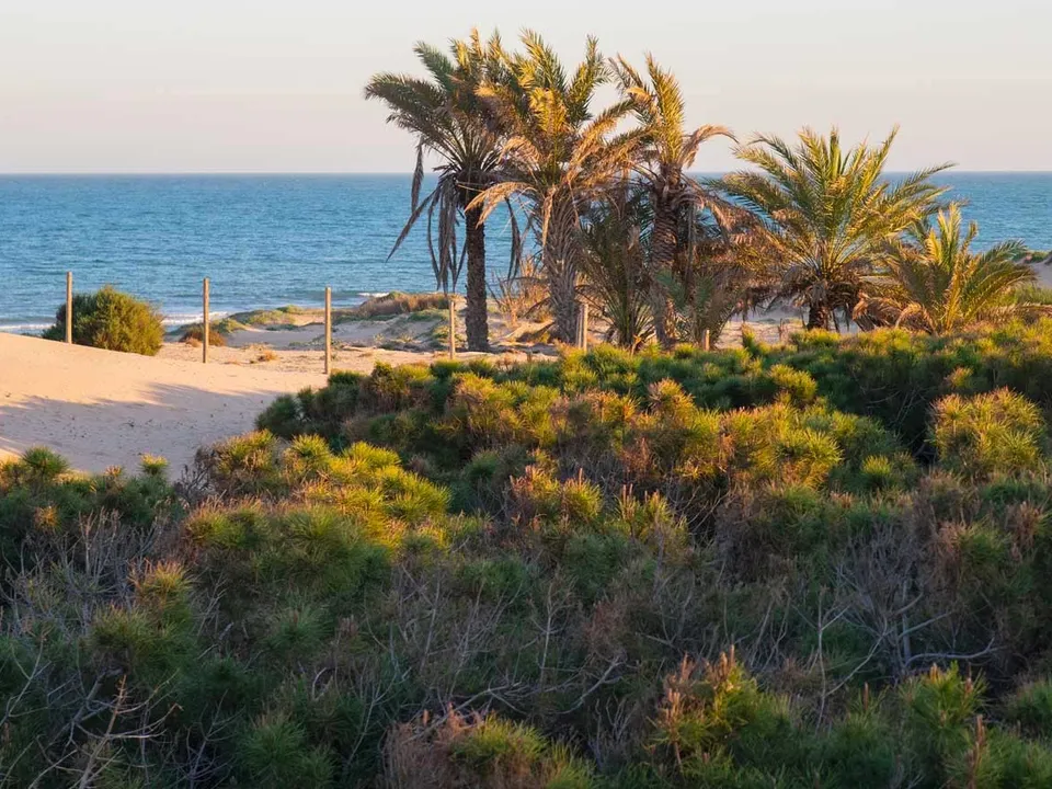 Omakotitalo Guardamar Del Segurassa, Alicante - kuva 2