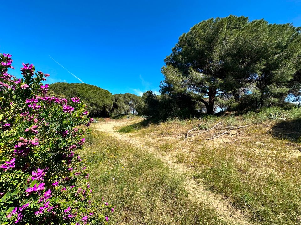 Omakotitalo Guardamar Del Segurassa, Alicante - kuva 5