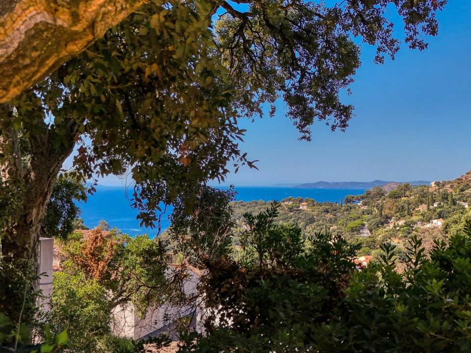 Villa i Rayol-Canadel-sur-Mer, Var - bilde 3
