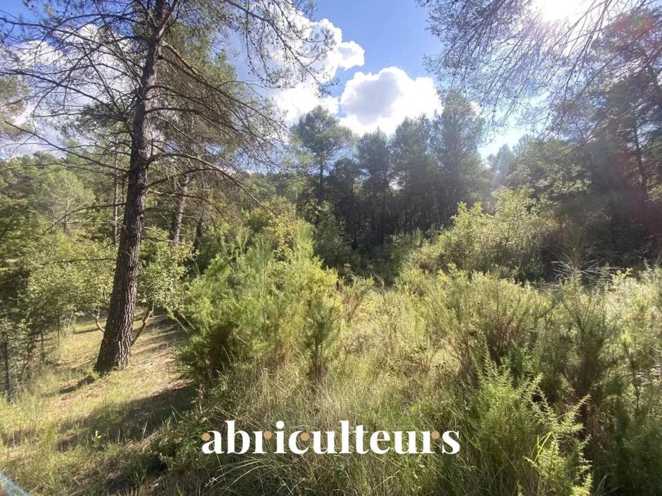 Terra a La Roque-d'Antheron, Bouches-du-Rhone - foto 3