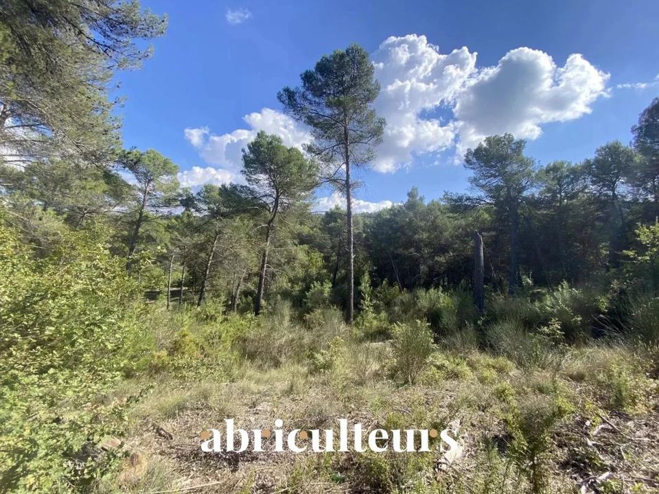 Terra a La Roque-d'Antheron, Bouches-du-Rhone - foto 4