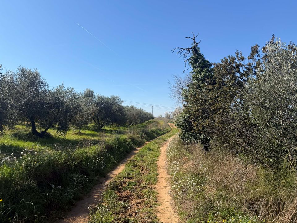 Helårsgrund i Barcelona, Barcelona - foto 2