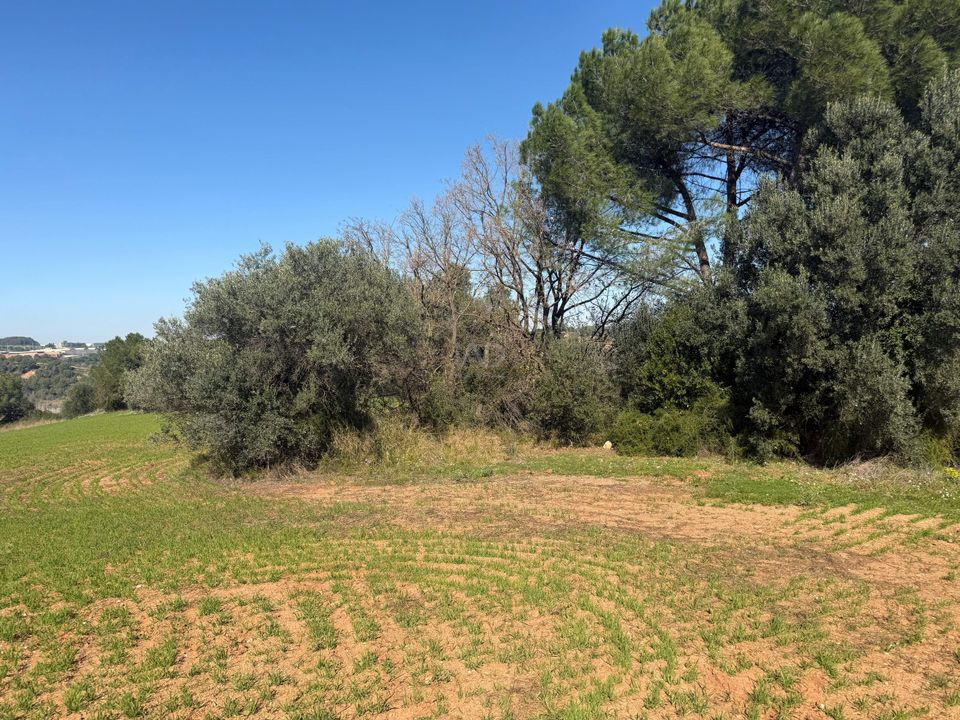 Helårsgrund i Barcelona, Barcelona - foto 3