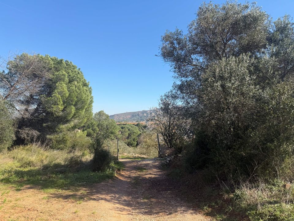 Helårsgrund i Barcelona, Barcelona - foto 4