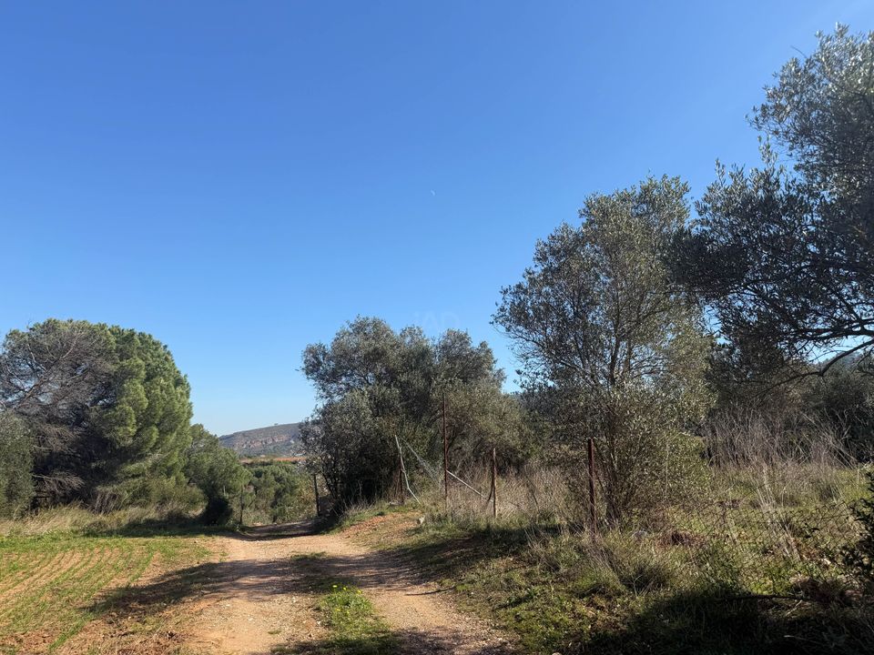 Helårsgrund i Barcelona, Barcelona - foto 5