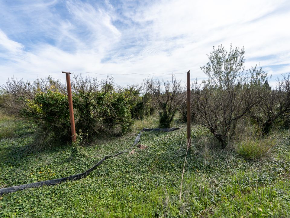 Finca i Tortosa, Tarragona - bilde 2