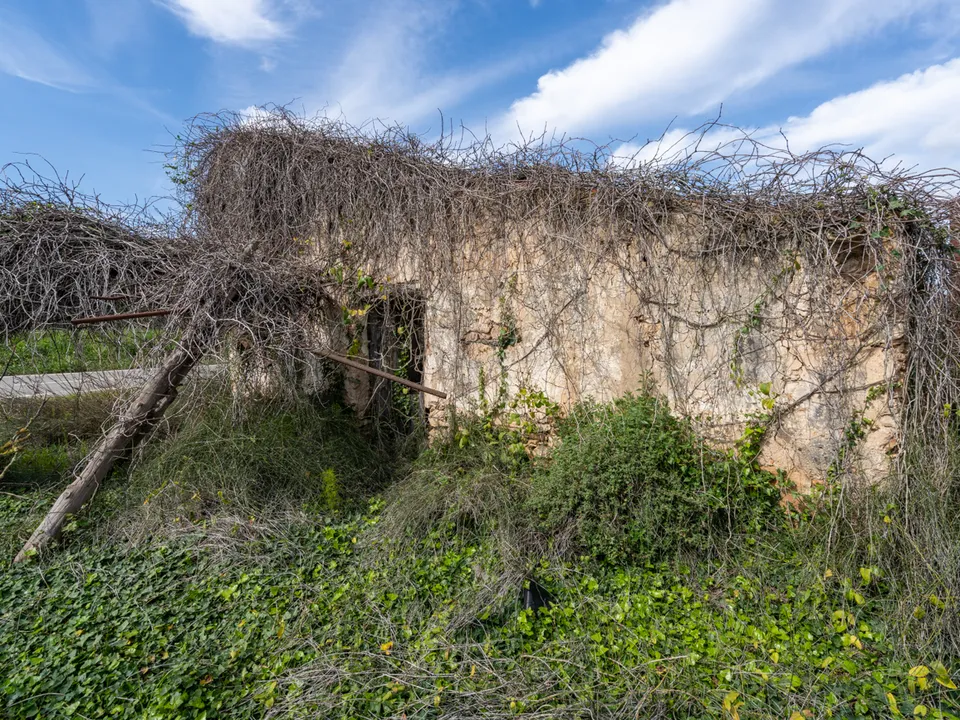 Finca i Tortosa, Tarragona - bilde 3